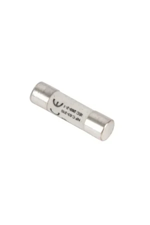 Offre Exclusive Fusible céramique 10A GG 10x38- DIFF - 100033 - (X10)