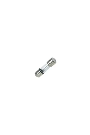 Fusible 250V 1.6A- DIFF pour ELM Leblanc - 19045227400 - (X10) Certifié