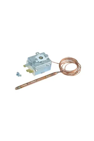 Acheter En Ligne Aquastat limiteur à bulbe type TR2- DIFF - 709073