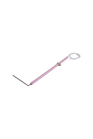 Haute Qualité Électrode ionisation- CHAFFOTEAUX - 340400