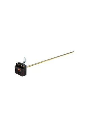 Thermostat à canne D:6 L:450- CHAFFOTEAUX - 60072572 Prix Réduit