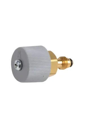 Tête de robinet- CHAFFOTEAUX - 61314798 Expédition Rapide