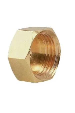 Acheter En Ligne Bouchon laiton brut femelle 1" Ø 26x34 Réf : 03810
