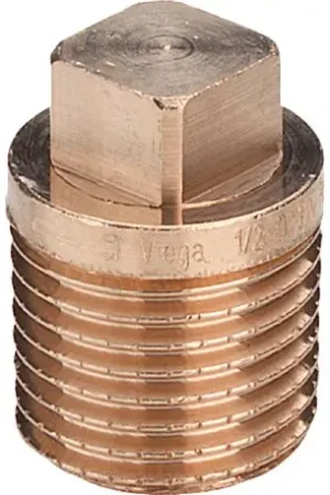 Satisfait Ou Remboursé Lot de 10 Bouchons de protection plomberie 1/2" - Réf : 266646