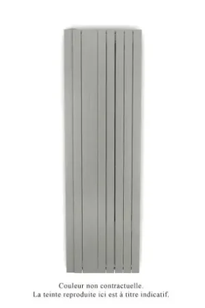 Achat Immédiat Fassane Premium EL V, commande RF, couleur Inox Look, 2000W, H2217 mm / L666 mm