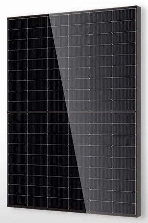 Bon Marché Panneau solaire Bifacial / Bi-verre transparent DMEGC Infinity RT (460W)