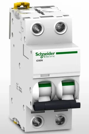 Disjoncteur Schneider 2 pôles 230Vca / 72Vcc (63A) Authentique